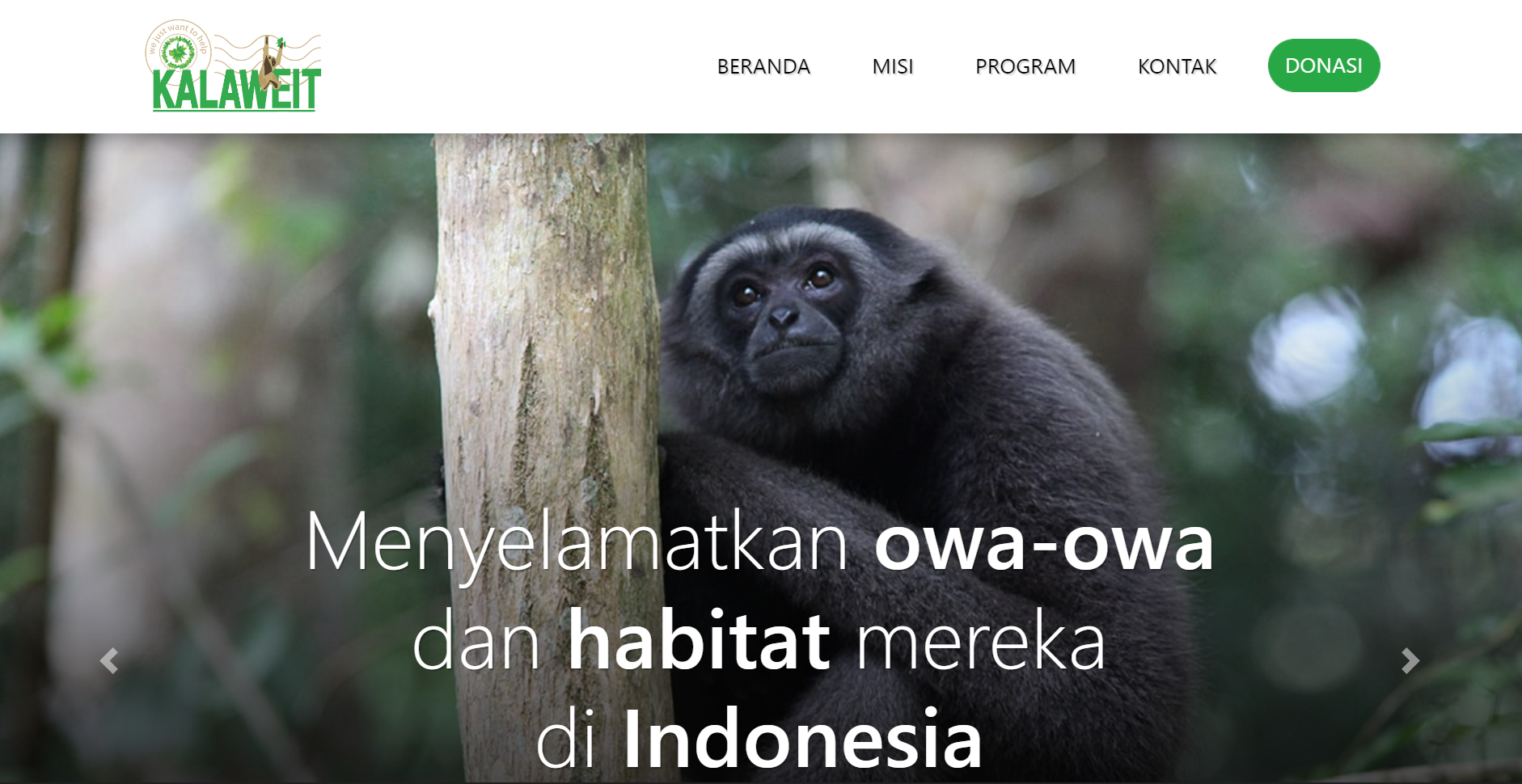 Kalaweit Homepage